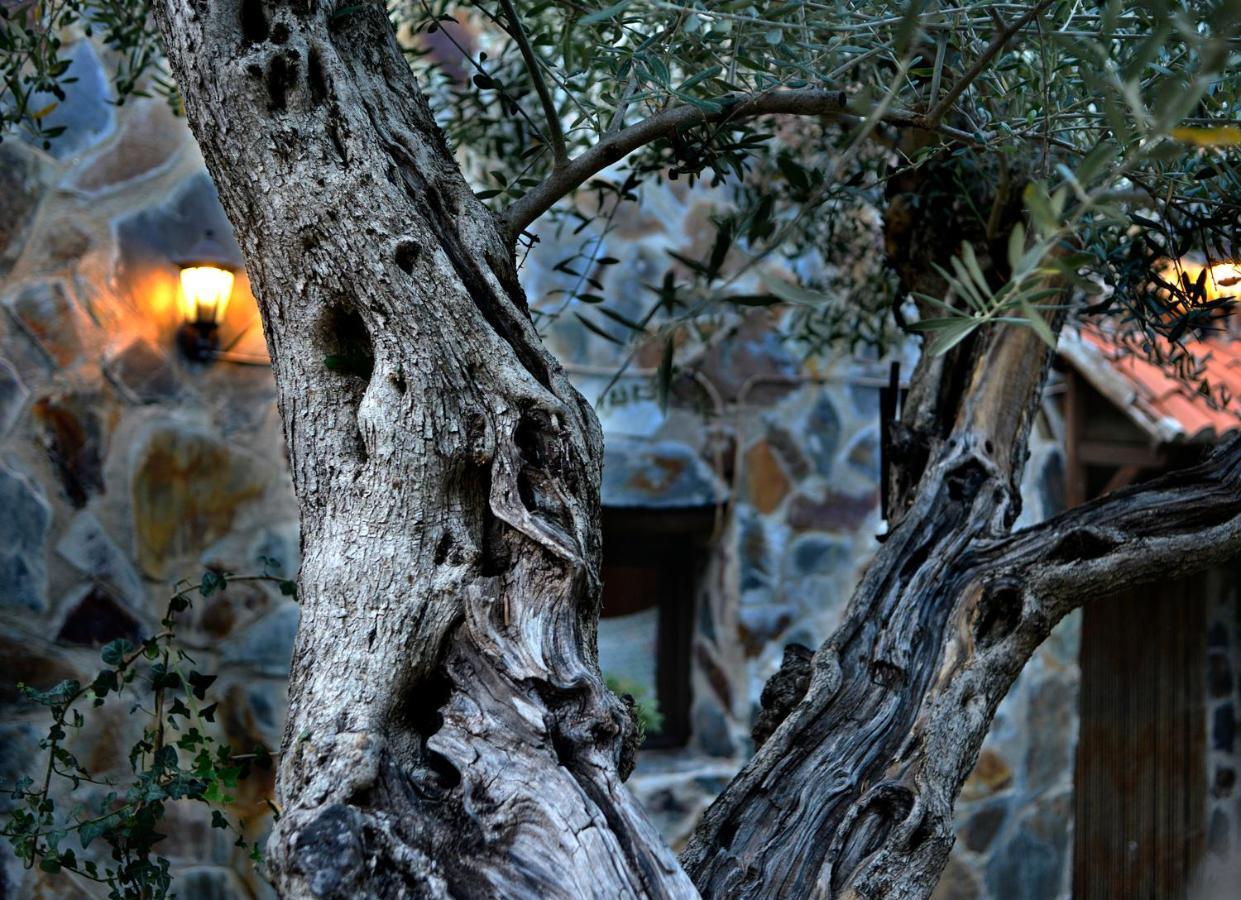 La Casita De Leire Pension Tamajon Buitenkant foto