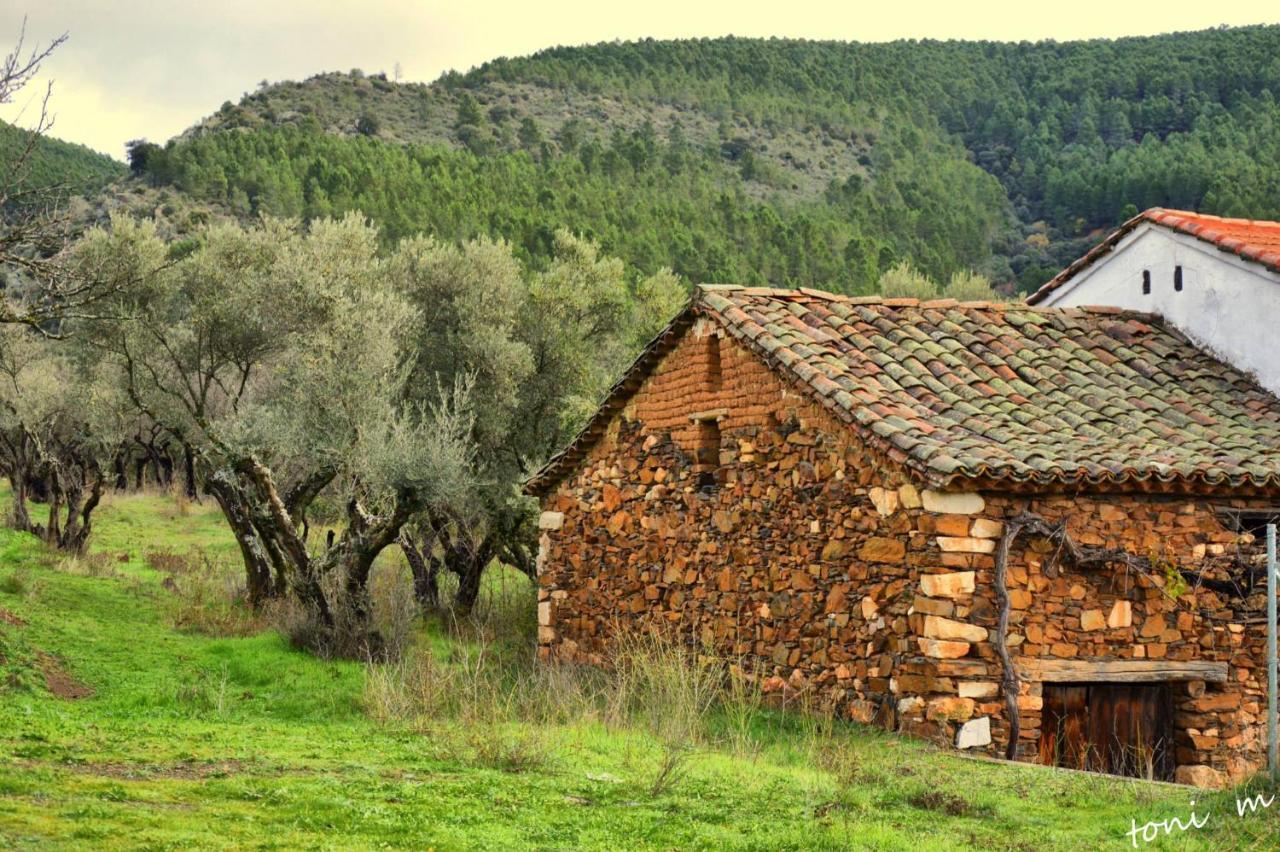 La Casita De Leire Pension Tamajon Buitenkant foto